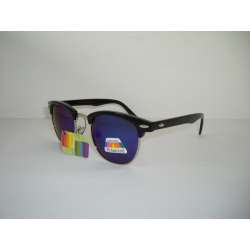 Wayfarer Clubmaster Polarizati 13